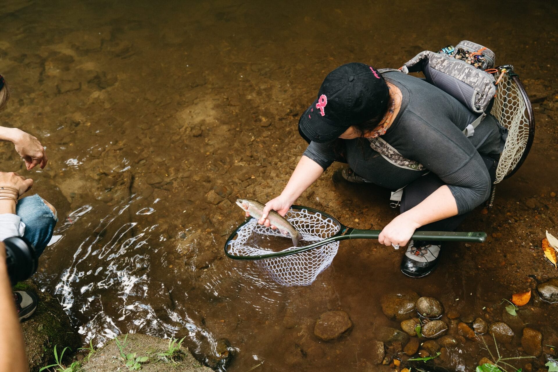 Things To Do | Norton Creek Resort | Gatlinburg, TN